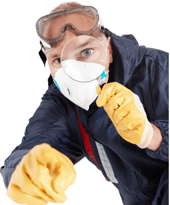 Termite Control Innopest