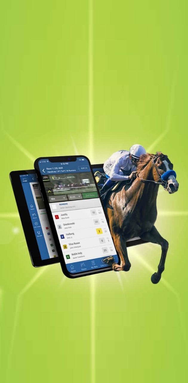 𝗛𝗼𝗿𝘀𝗲 𝗥𝗮𝗰𝗶𝗻𝗴 𝗕𝗲𝘁𝘁𝗶𝗻𝗴 𝗦𝗼𝗳𝘁𝘄𝗮𝗿𝗲 𝗗𝗲𝘃𝗲𝗹𝗼𝗽𝗺𝗲𝗻𝘁 𝗖𝗼𝗺𝗽𝗮𝗻𝘆 Innosoft Group