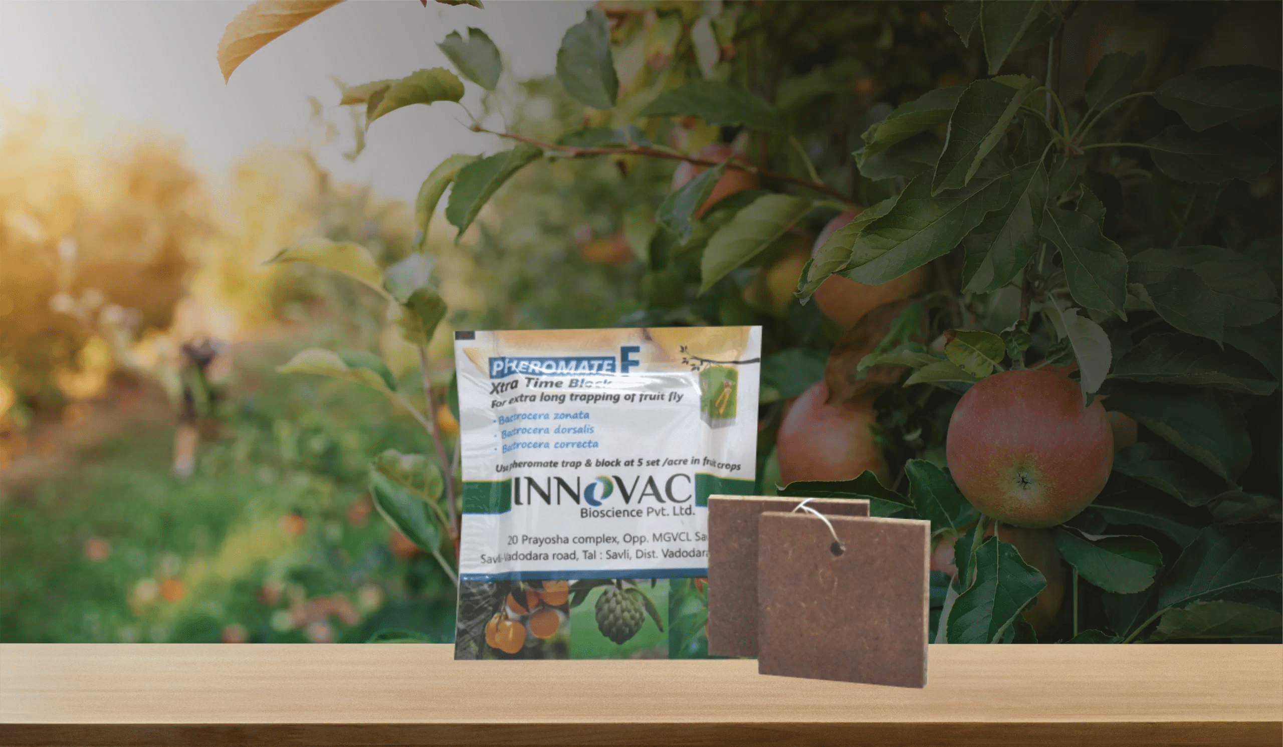 Buy Innovac Pheromone Trap Buy Fruit Fly Trapper Online