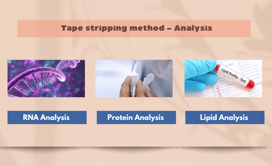Innovaderm Research Exploring the Benefits of Tape Stripping in Dermatology Clinical Research