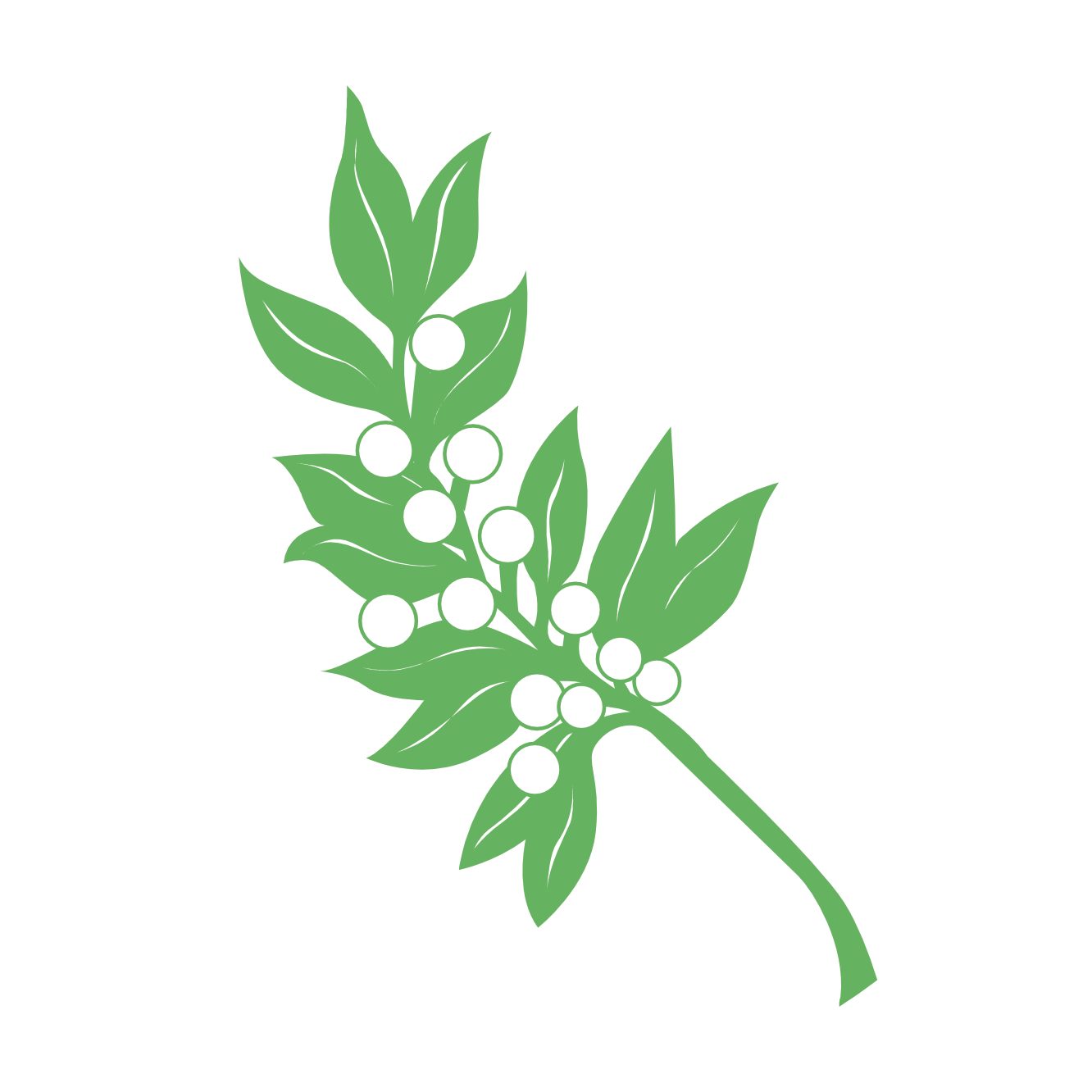 Practical Application Green Office Checklist Innovate with Intent