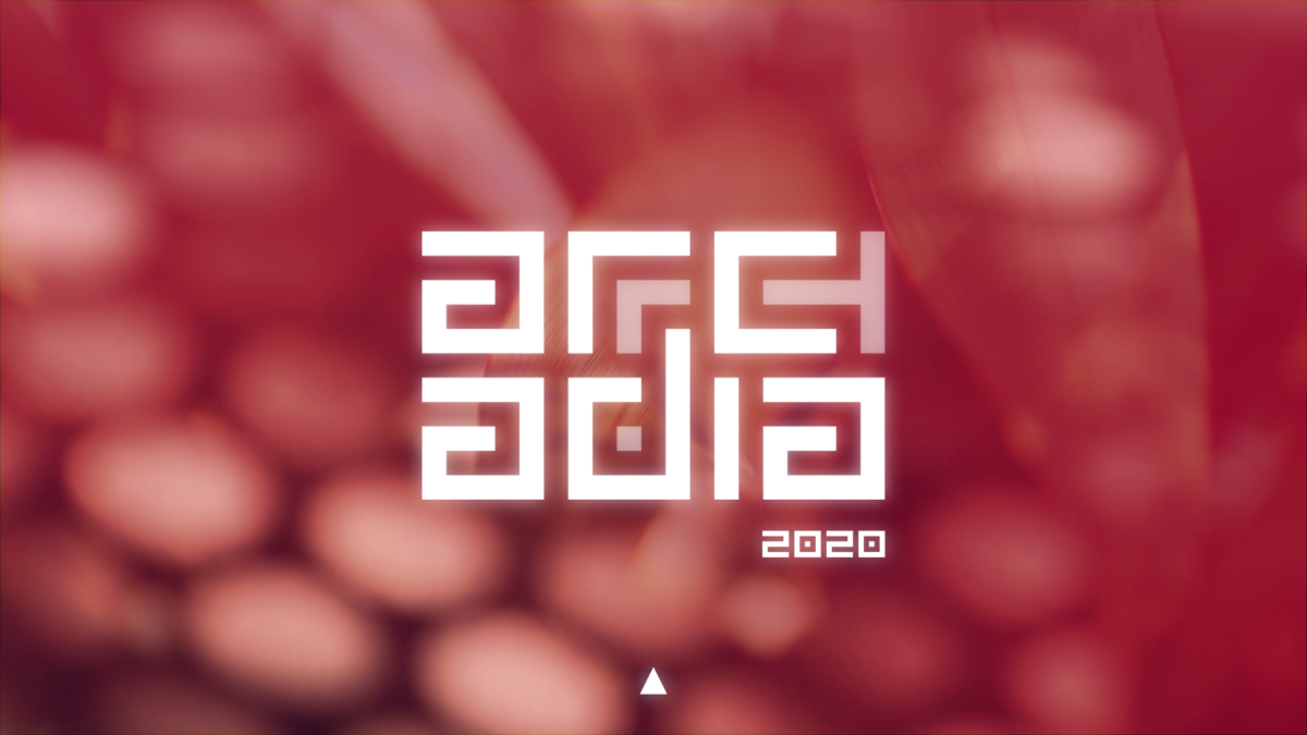 Arcadia Night 2020 > InGAME