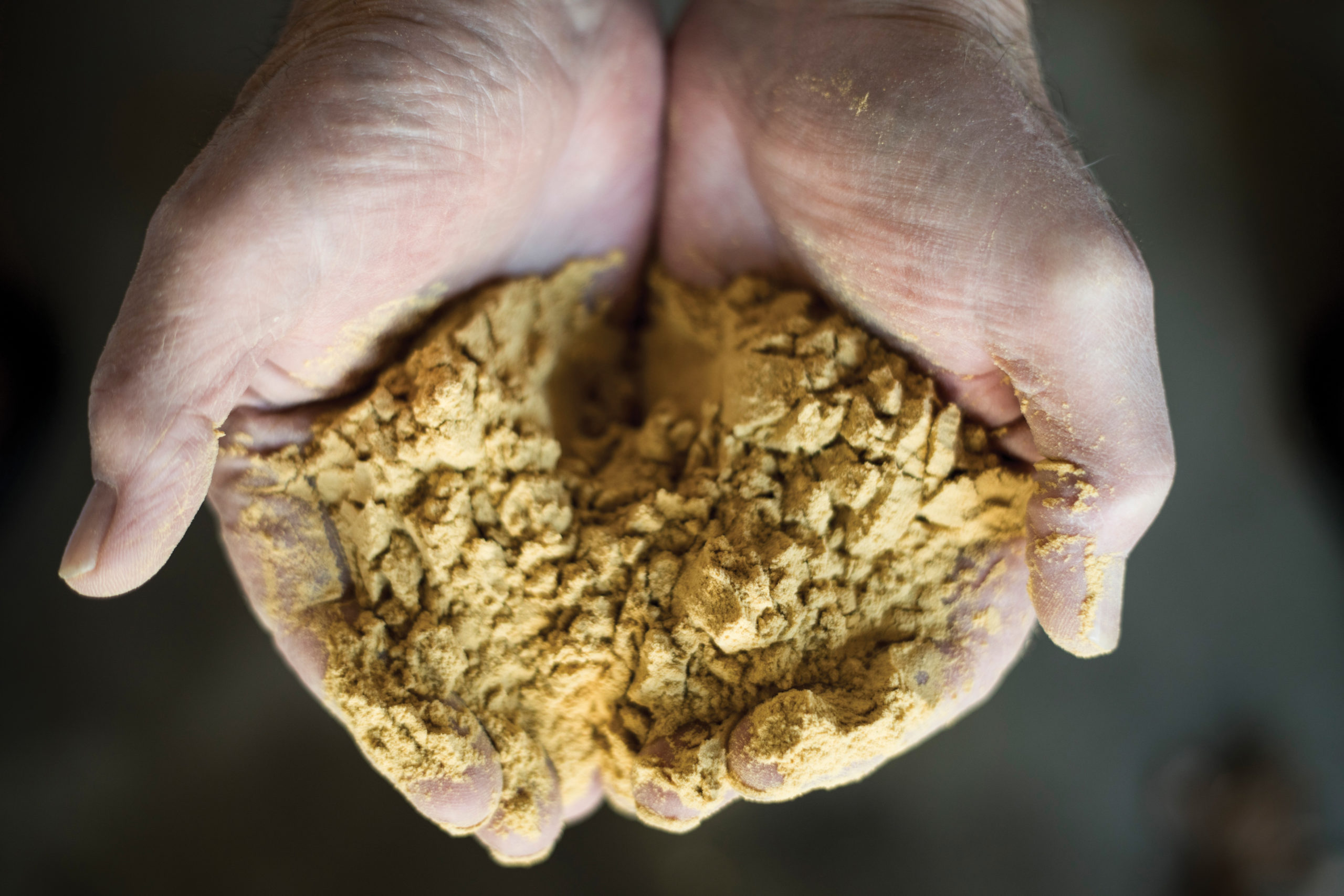Ethanol producer uses new technology to make higherprotein animal feed