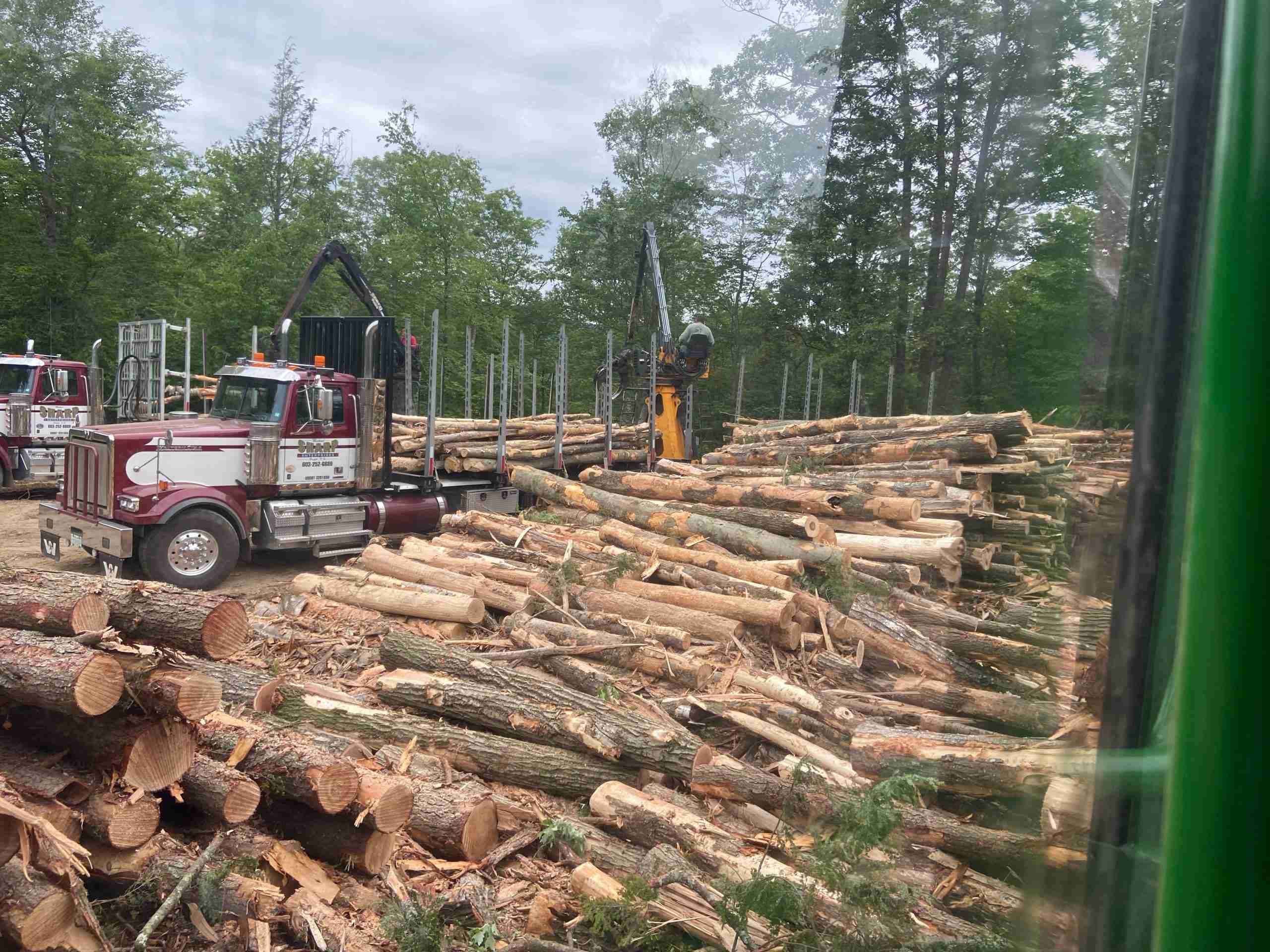 Trucking Innovative Timber Harvesting