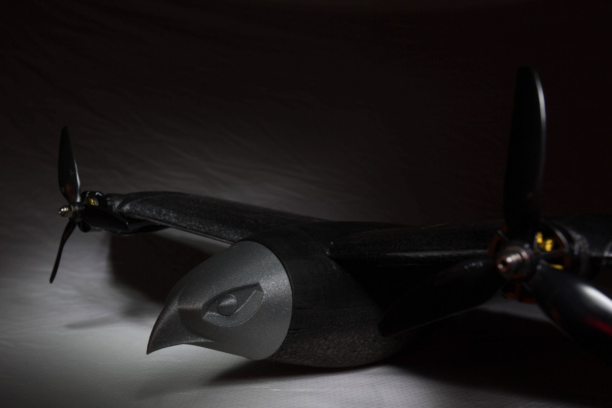 Electronic Bird Control une entreprise par le BIC Innov'up