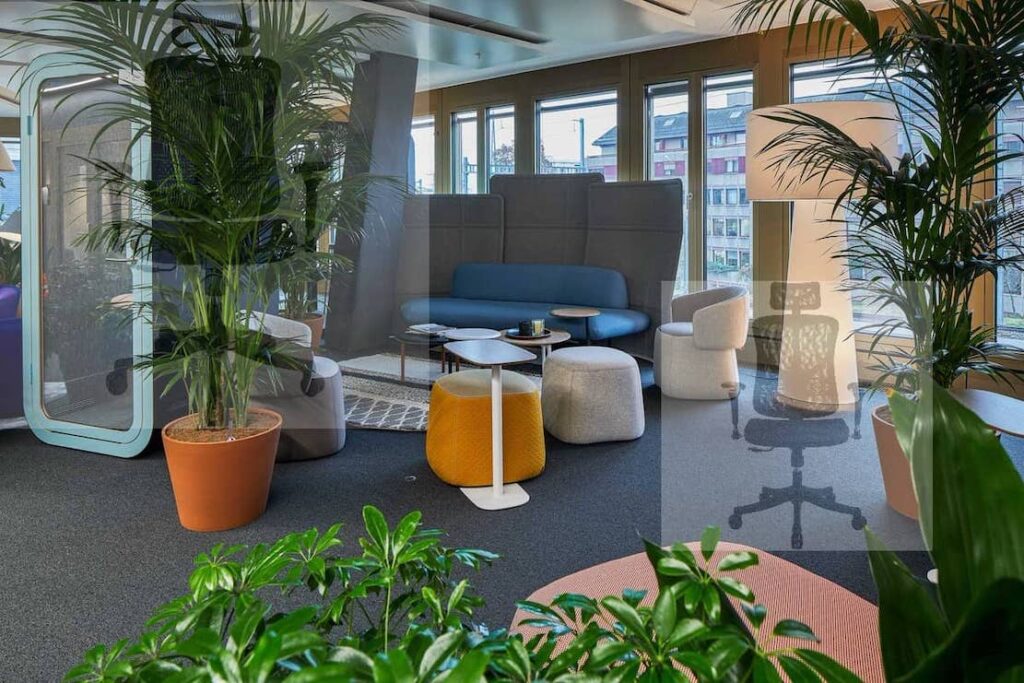 What to Expect with the Argomax Mesh Ergonomic Office Chair INOVA