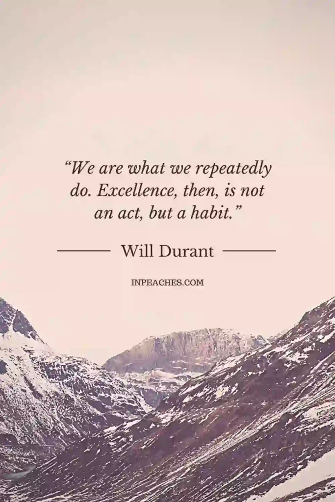 70 Excellence Quotes To Motivate and Inspire You inPeaches