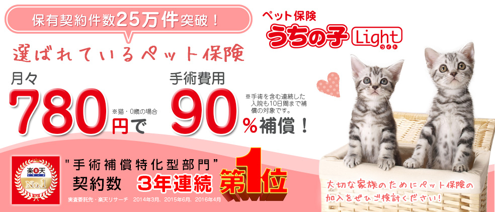 アイペット損保 猫の保険 猫のペット保険比較専門サイト