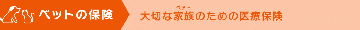 AU損保のペット保険 猫の保険 猫のペット保険比較専門サイト