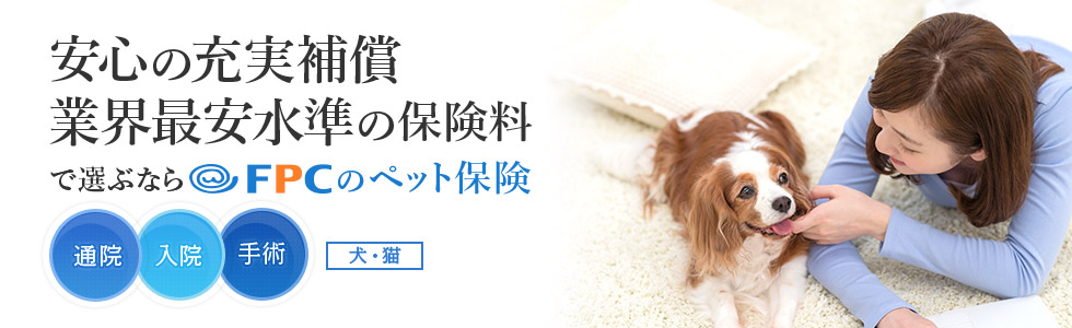 FPC少額短期保険（フリーペット保険）の特長ページの追加 猫の保険 猫のペット保険比較専門サイト