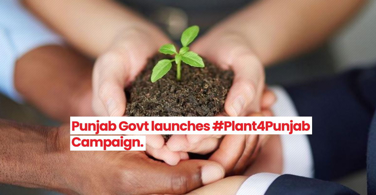 Clean and Green Pakistan Punjab Govt launches Plant4Punjab Campaign