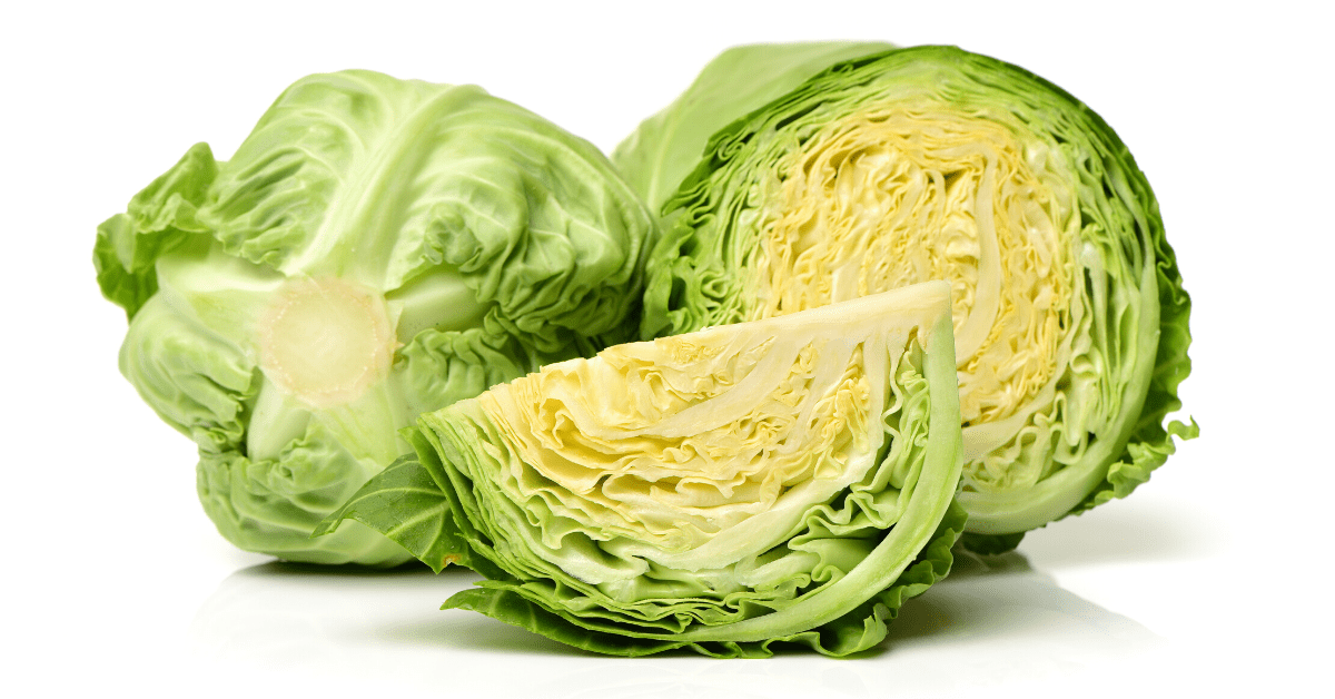 Can You Freeze Cabbage? Insanely Good