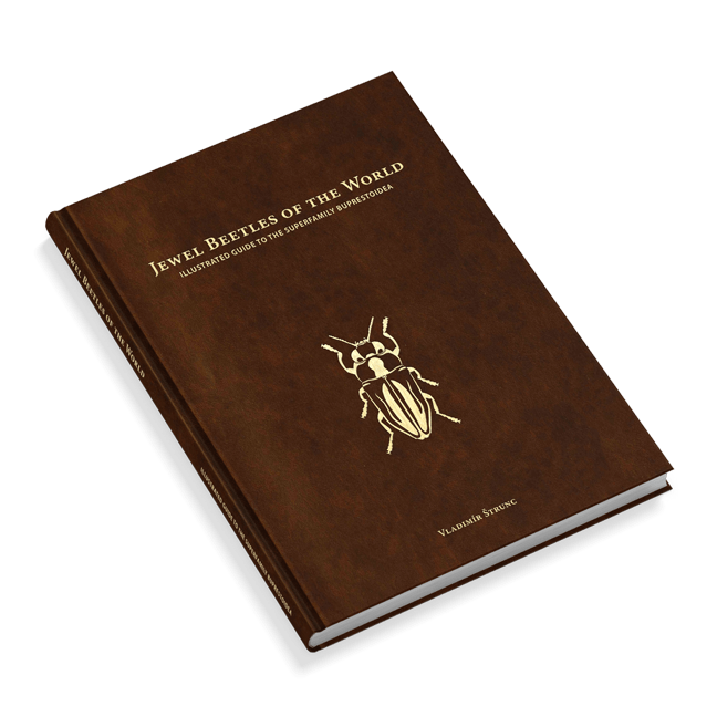 Insect Books Illustrated Guides to Beetles of the World