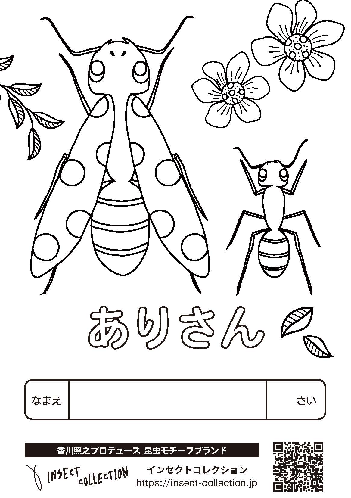 【35++】 虫 塗り絵