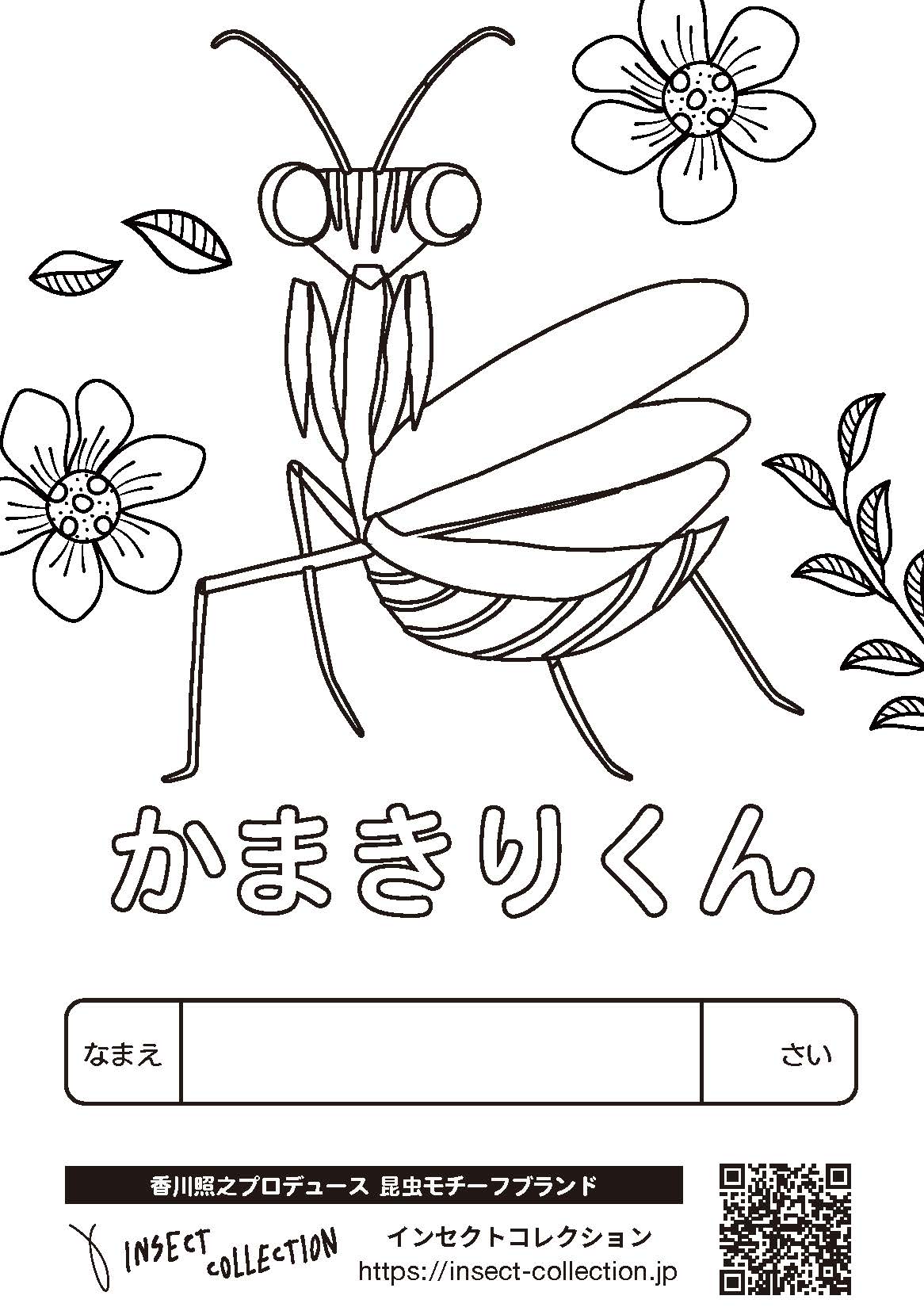 【35++】 虫 塗り絵