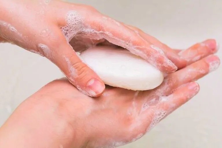 What Soap Keeps Mosquitoes Away A Powerful Solution