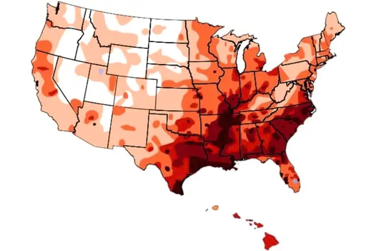 What State Has the Worst Mosquitoes? Infestation Insights