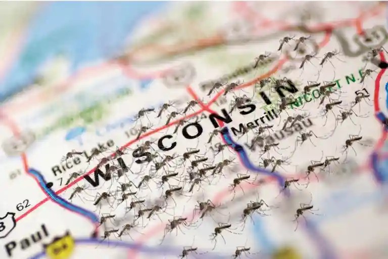 When Do Mosquitoes Infest Wisconsin? Find Out Now!