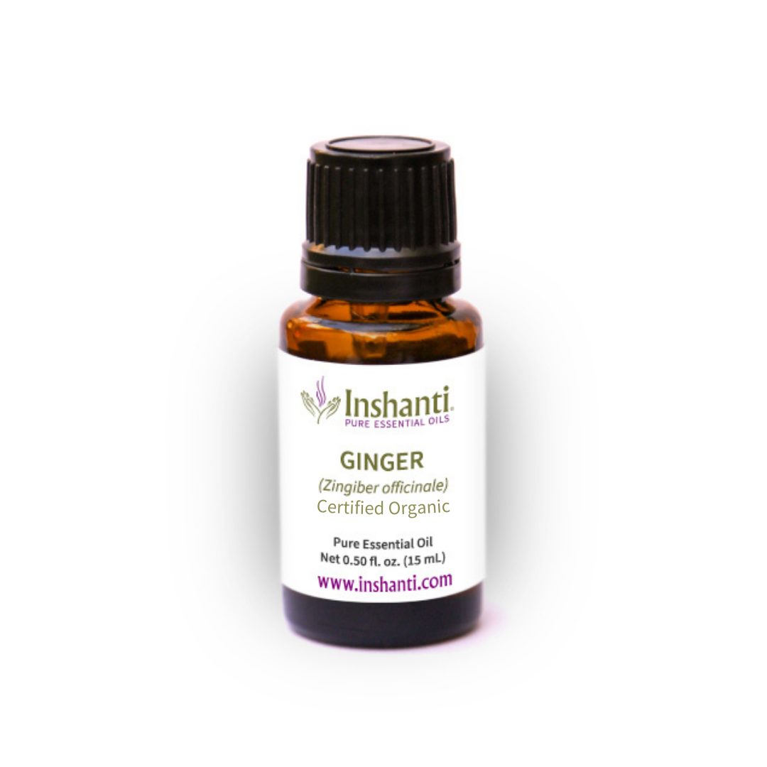 Ginger, Certified Organic Inshanti Pure Essential Oils