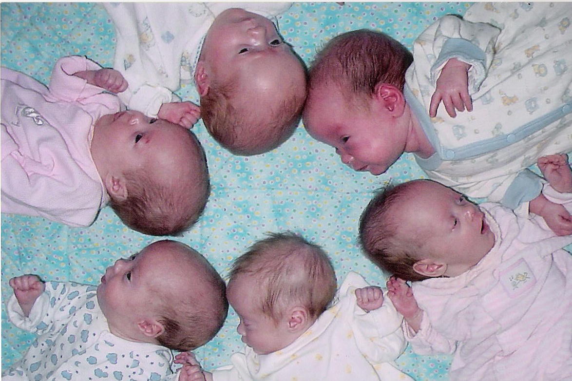 Hanselman sextupletsInside Children's Blog