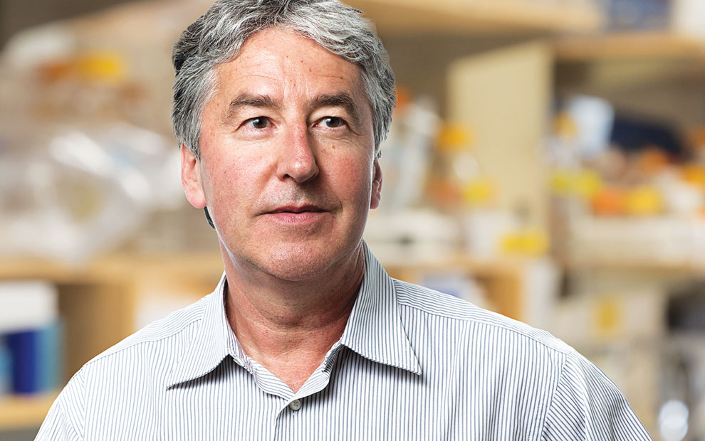 Patrick Hsu Salk Events 2023 Spotlight Categories