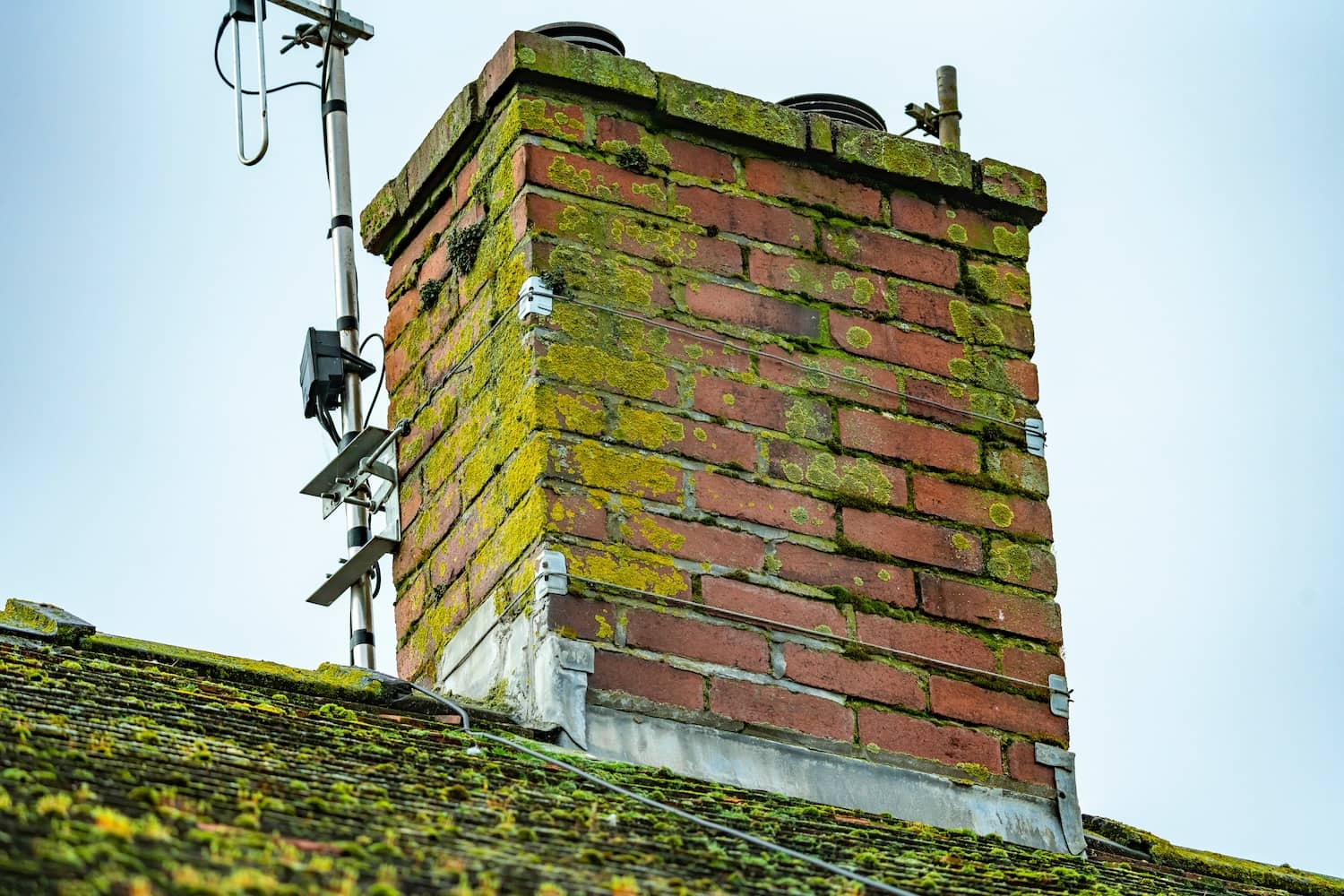 How To Kill Moss On Brick Inside & Out Property Inspectors