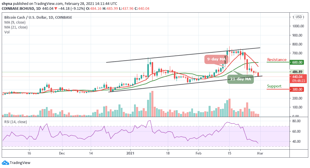 Bitcoin Cash Price Prediction February 2021 / Bitcoin Gold