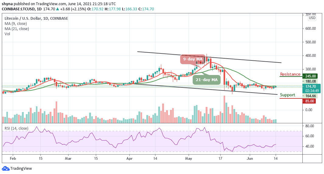 Litecoin Price Prediction LTC/USD Breaks Above 170 Level