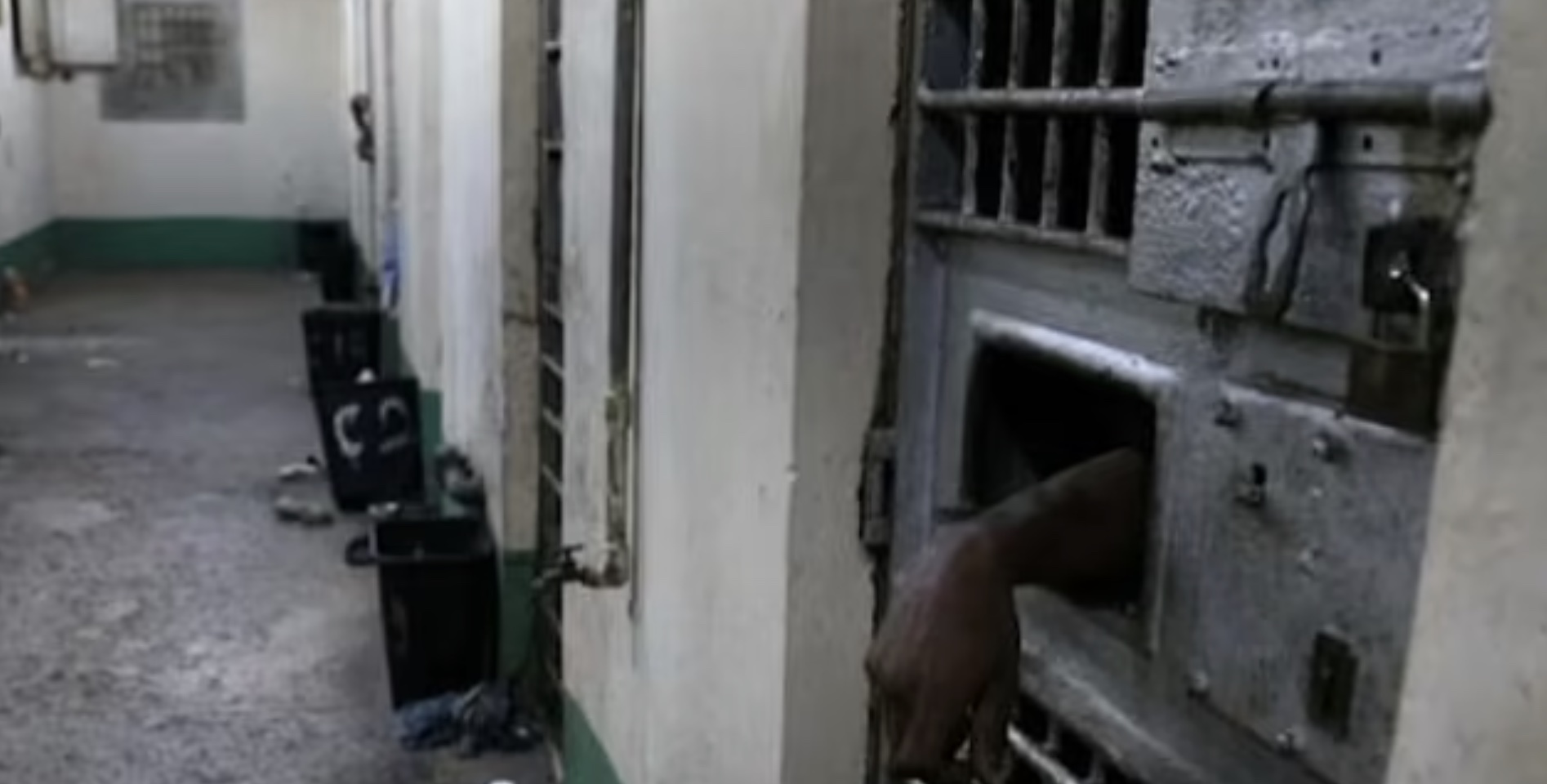 SBF UTurns on Extradition to US