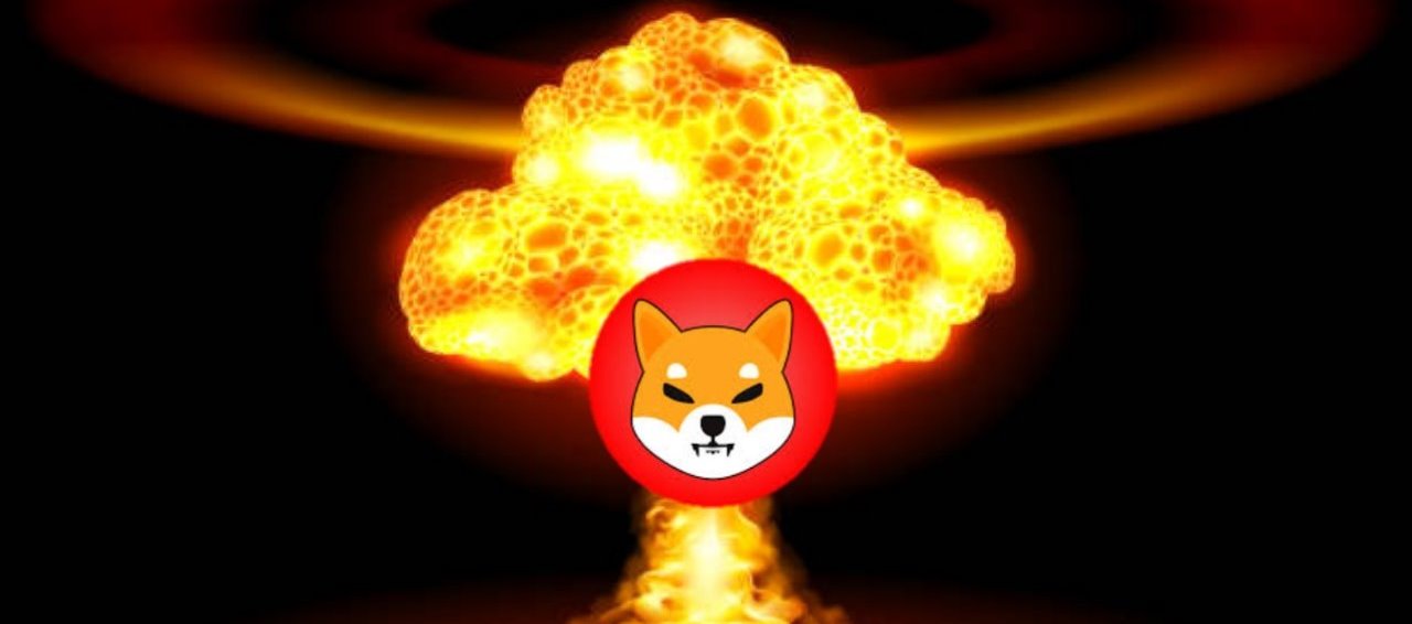 Shiba Inu Coin Investors Suffer as 80 of Addresses Plunge into Losses