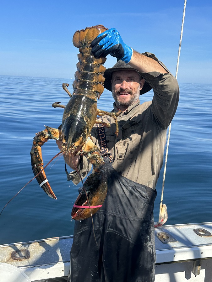 Lobstermen Face Hypoxia in Outer Cape Waters Inside Climate News