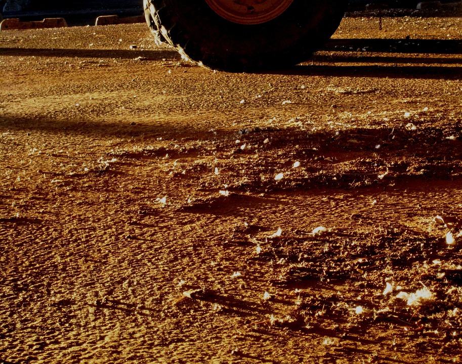Brownfield Sites A Wildlife Haven and incorporation into urban development
