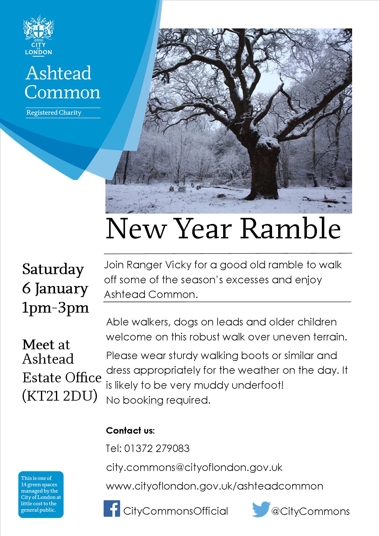 City Commons New Year Ramble, Ashtead Common, Jan 6 Inside Croydon