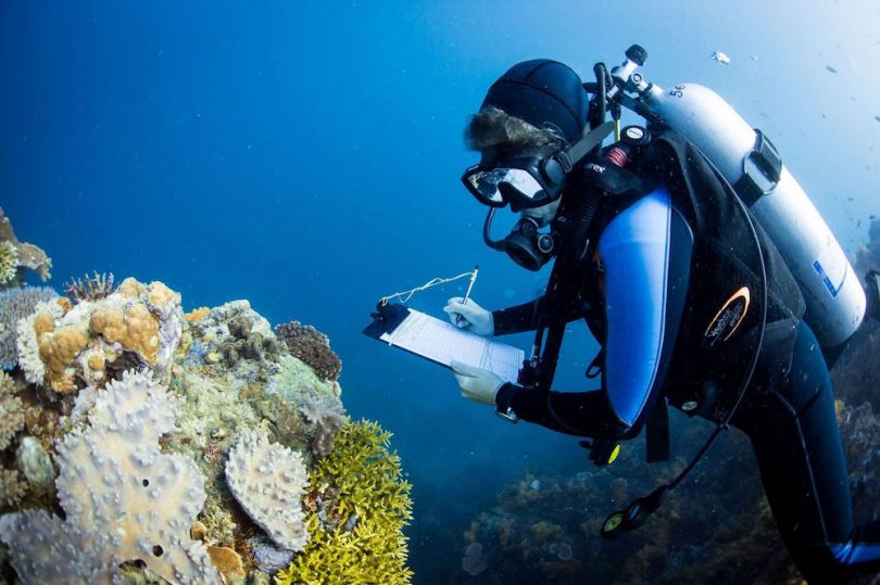 A new hope for coral reefs largestever study of coral communities