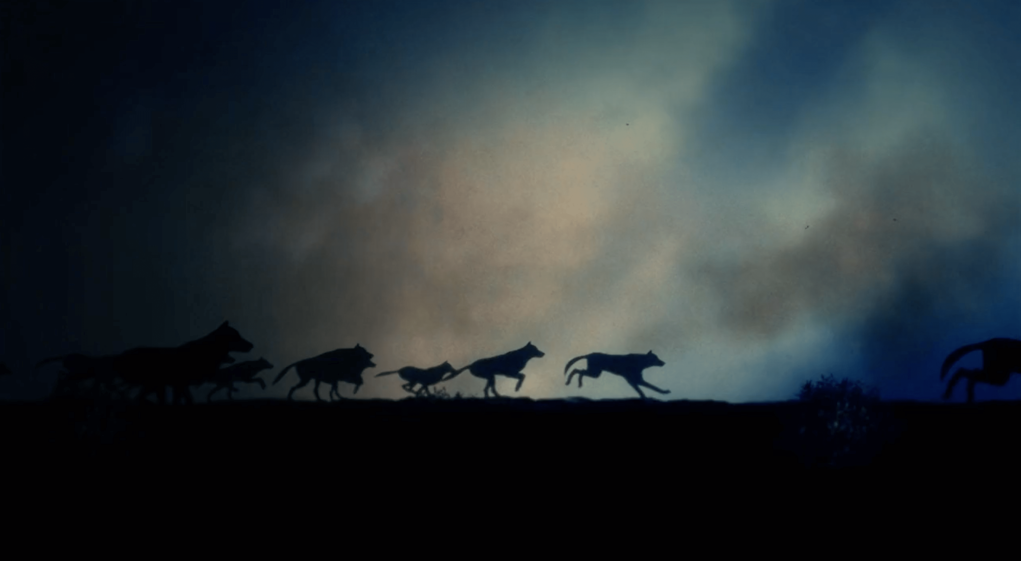 Watch A Wolf In Sheep S Clothing Ii The Gender Agenda Inside Ewtn