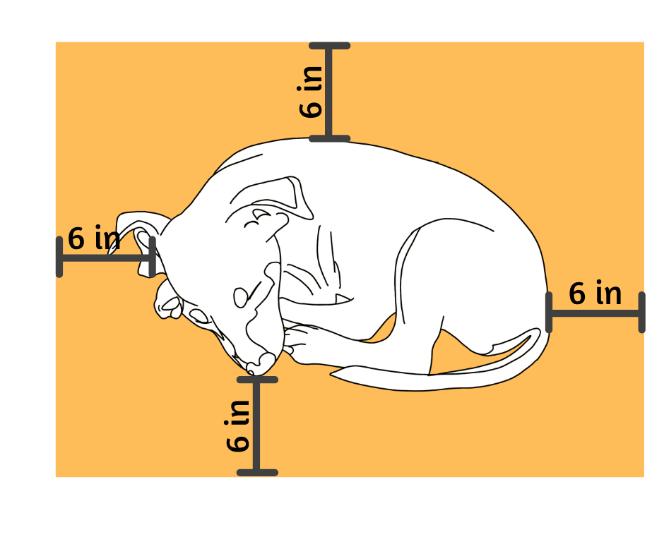 Measuring your dog for a dog bed Inside Hackner Home