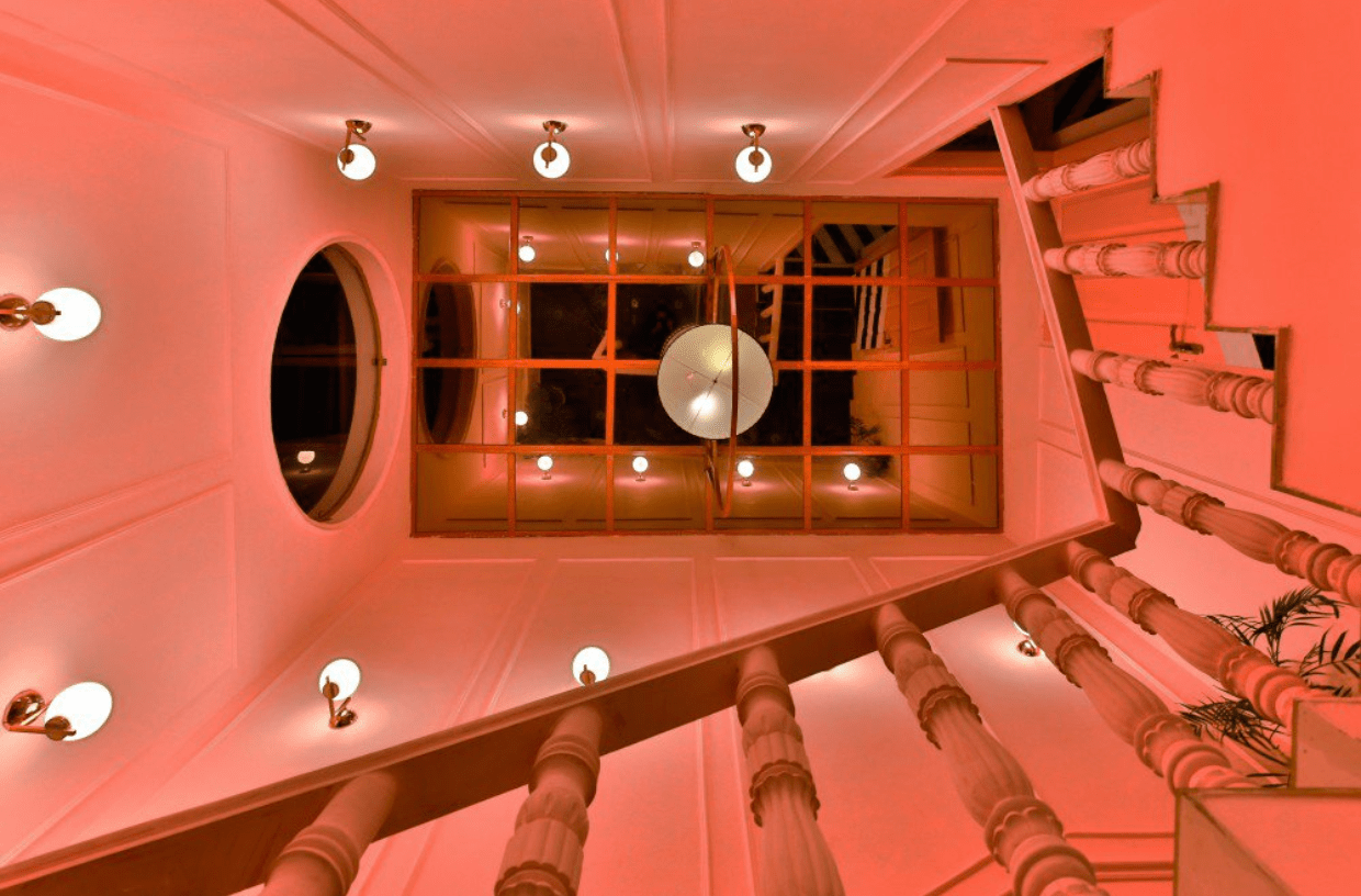 The Pink Zebra, Kanpur, Uttar Pradesh, India (20172018)**