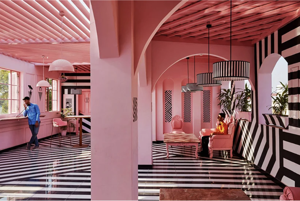 The Pink Zebra, Kanpur, Uttar Pradesh, India (20172018)**