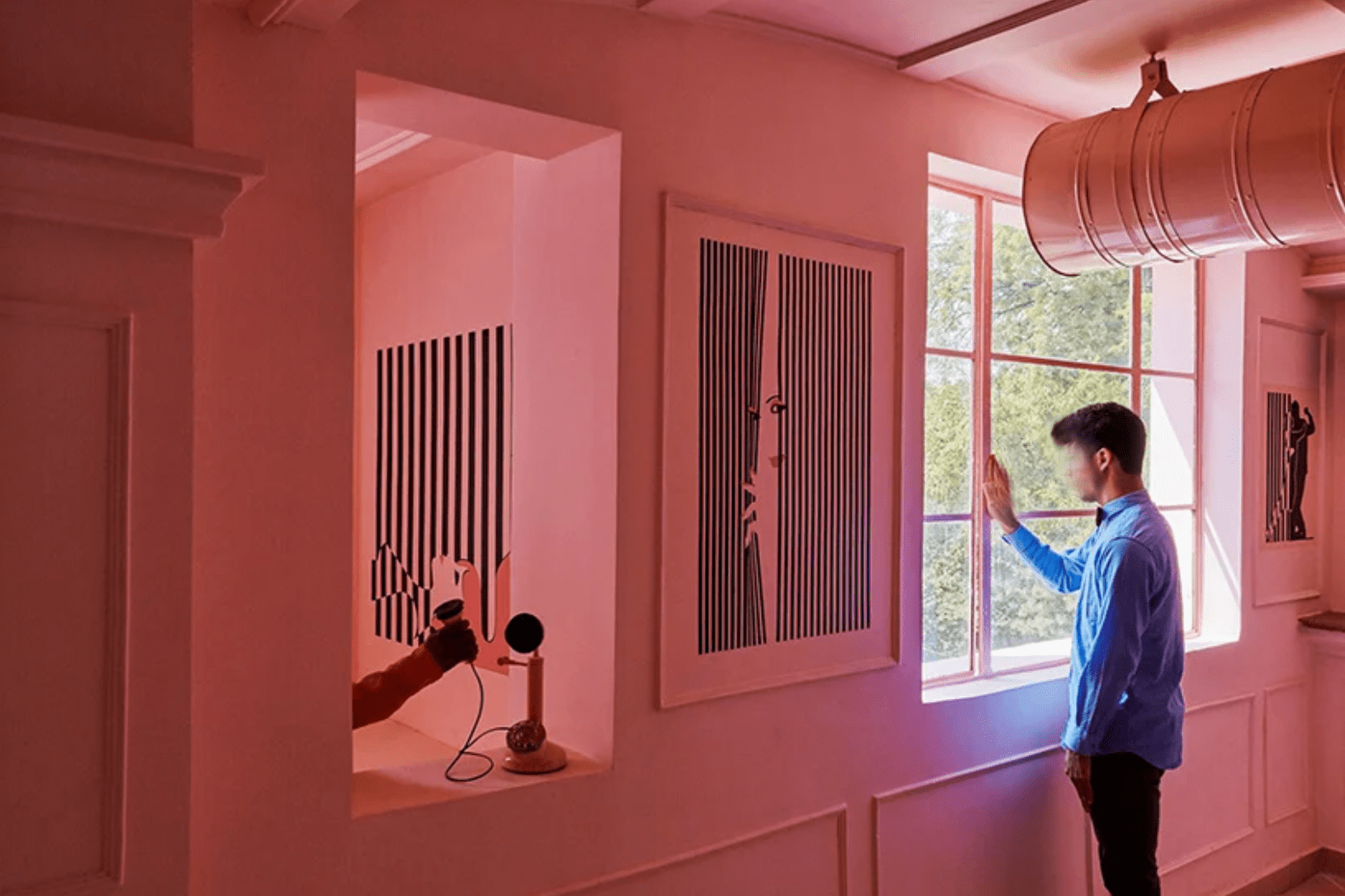 The Pink Zebra, Kanpur, Uttar Pradesh, India (20172018)**