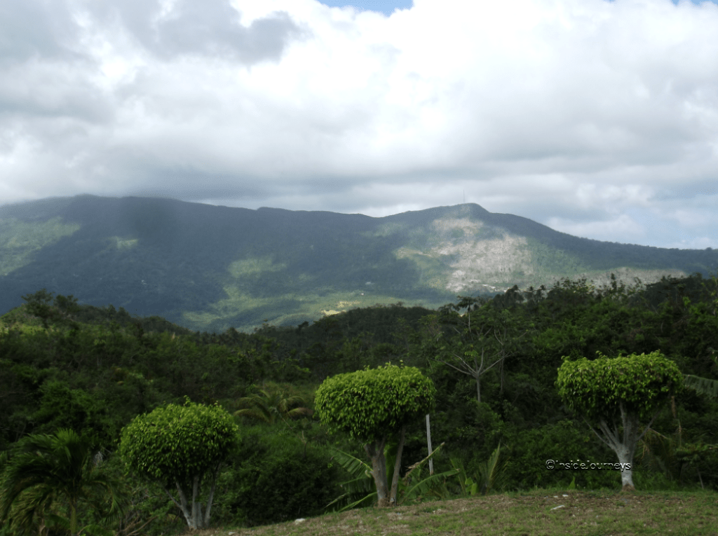 5 Reasons to Visit St. Thomas, Jamaica InsideJourneys