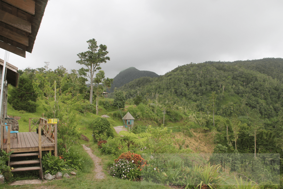 Holywell Recreational Park InsideJourneys