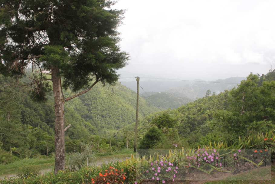 Holywell Recreational Park InsideJourneys