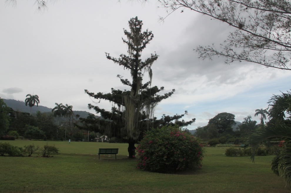 Hope Botanical Gardens InsideJourneys