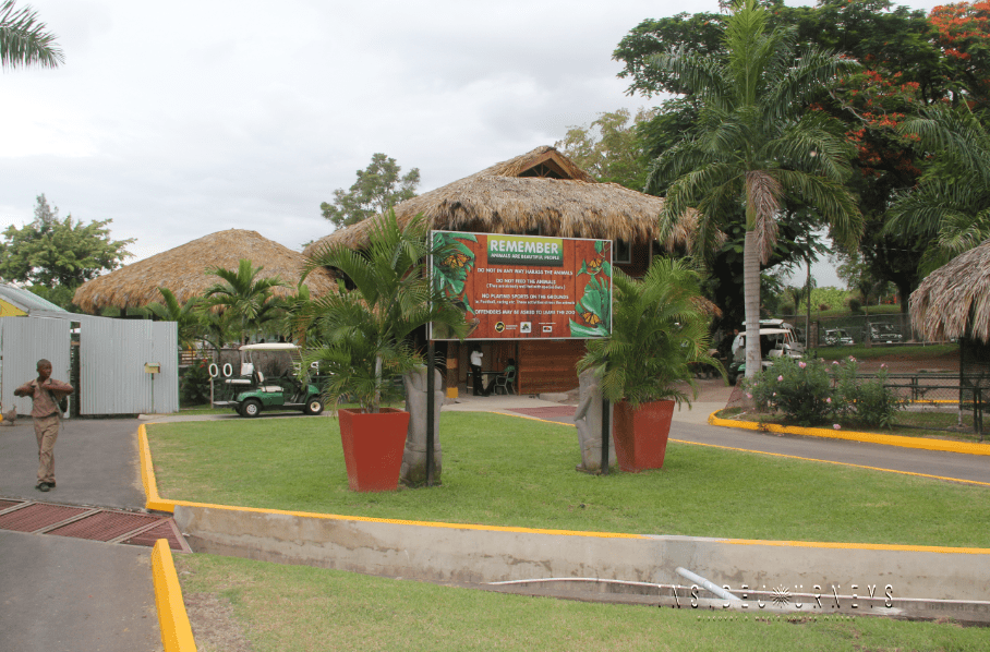 A Few Photos from Hope Zoo Jamaica InsideJourneys