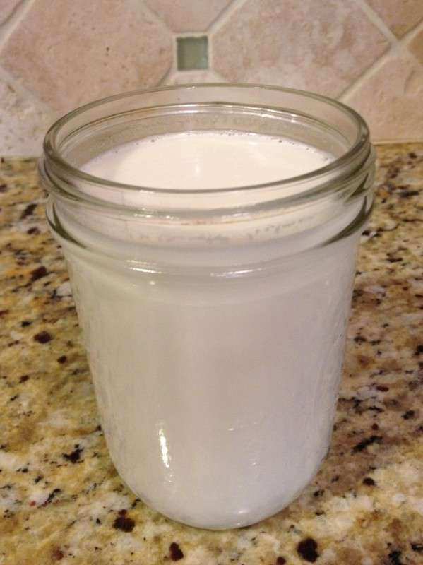 Homemade Coconut Milk » Inside Kellys Kitchen