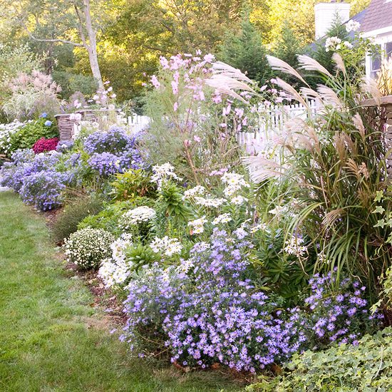 Plants for Full Sun Yards InsideOut Designs