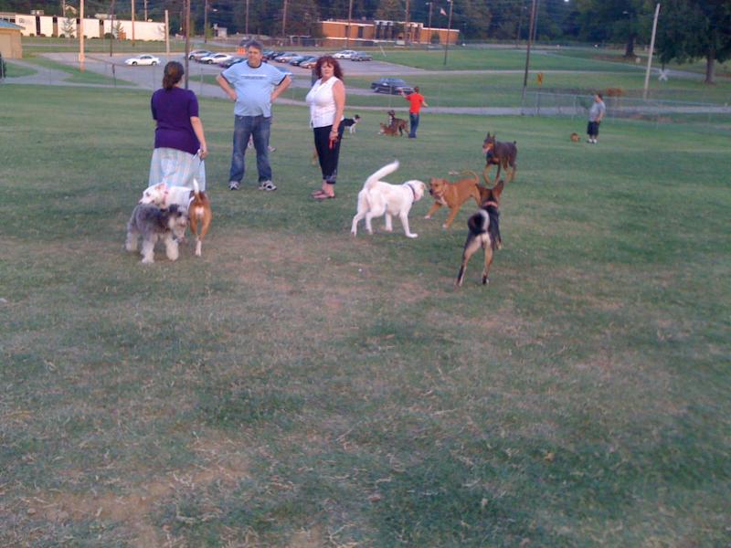 Memphis Dog Park Memphis TN