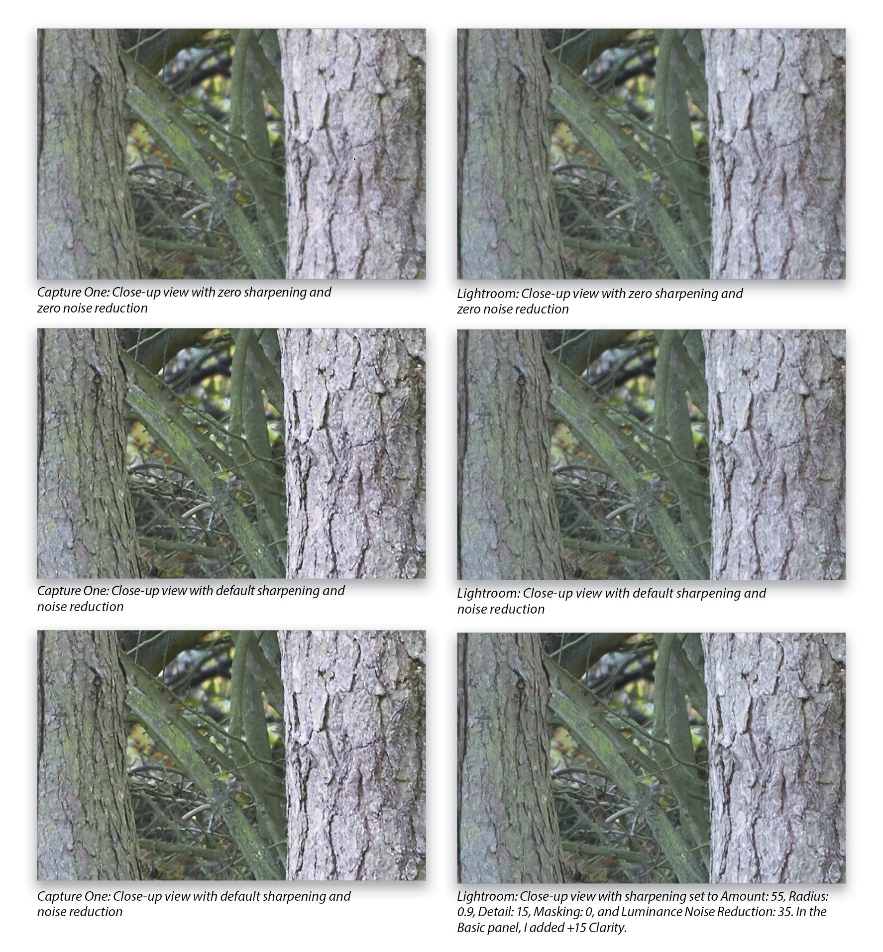 Adobe Lightroom and Capture One Pro CloseUp By Martin Evening