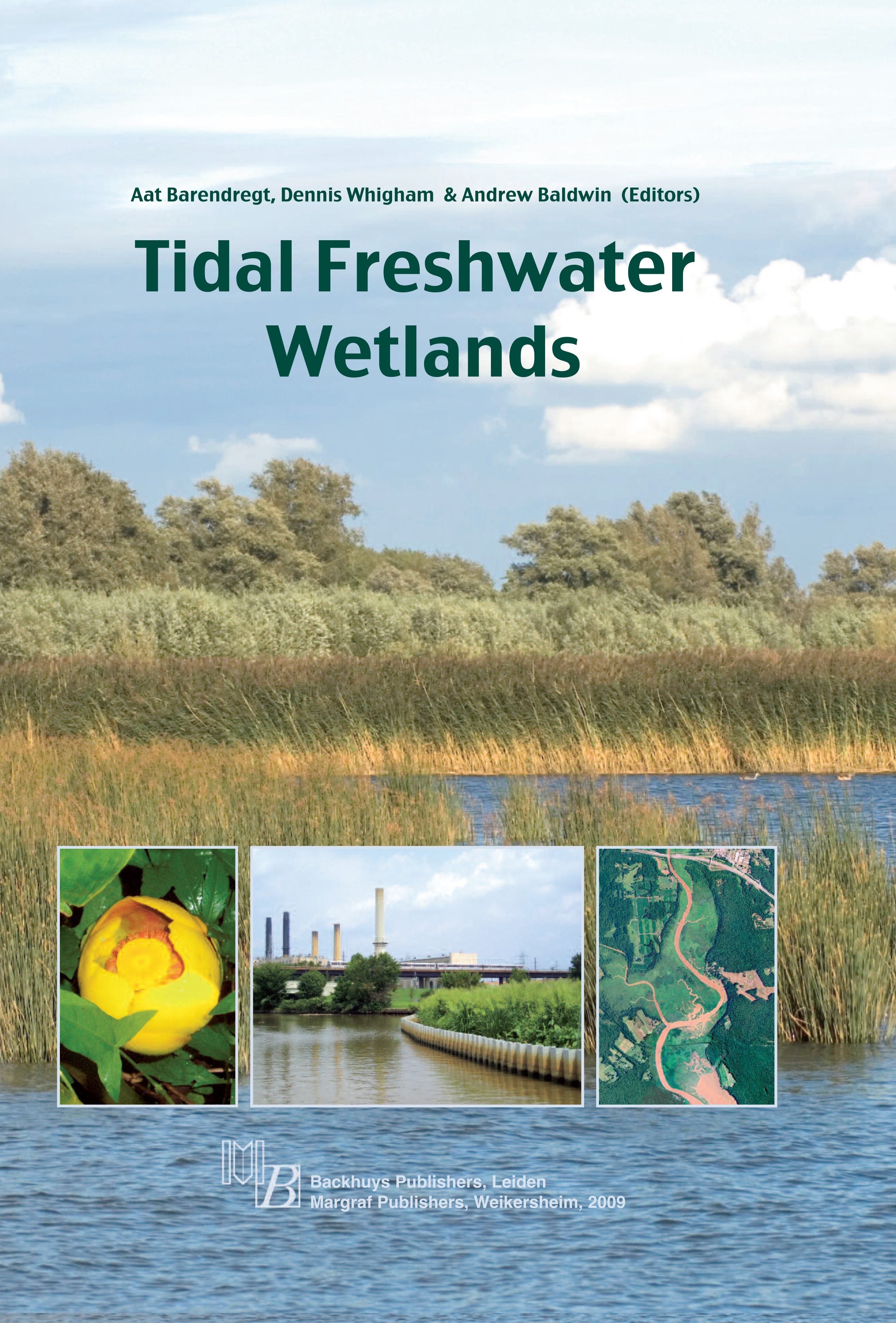 Smithsonian Insider New book reveals tidal freshwater wetlands are on