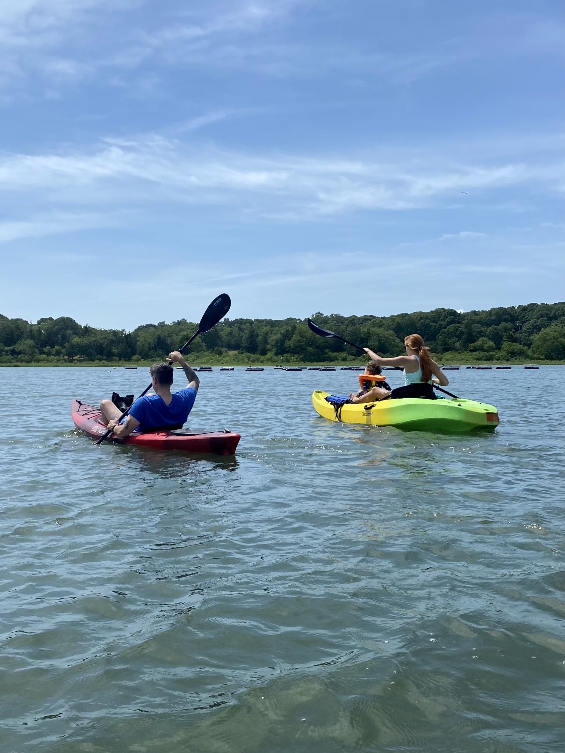 Hamptons Kayaking Guide Insider Hamptons